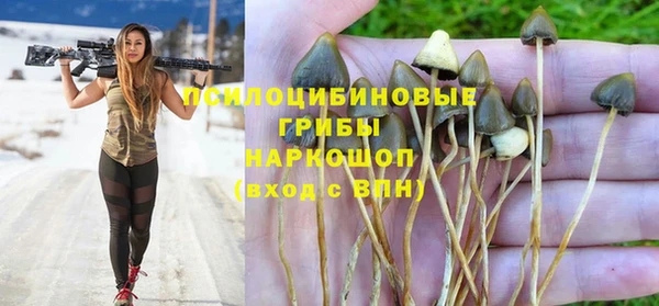 а пвп мука Армянск